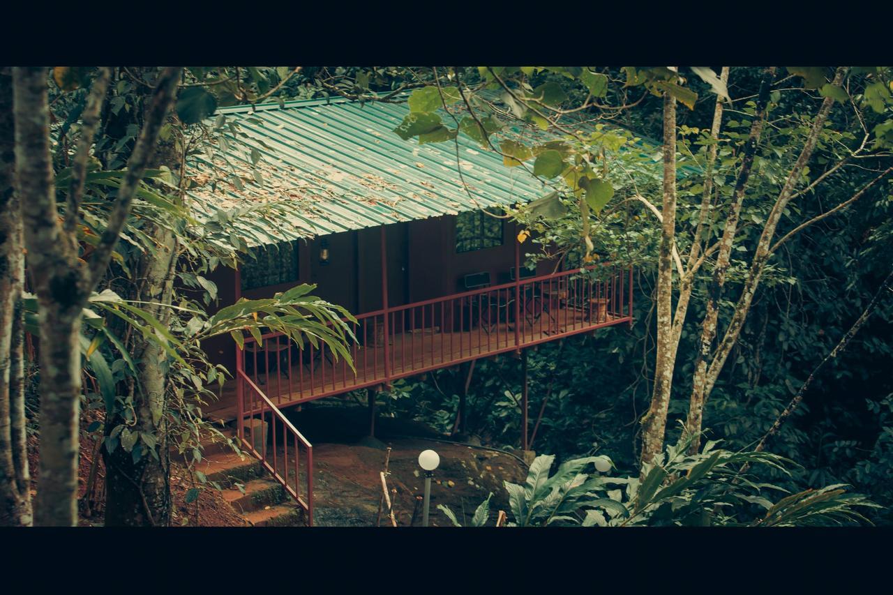 Ela Ecoland Nature Retreat Munnar Exterior foto